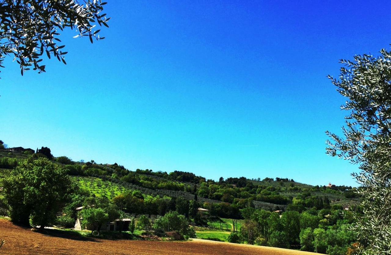 Appartamenti Verde Collina Umbra Bevagna Exterior photo